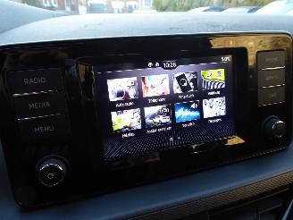 Skoda Kamiq  picture 16