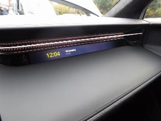 Lotus Eletre  picture 31