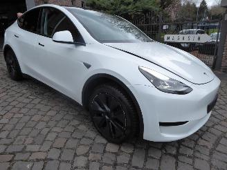Tesla Model Y Long Range RWD picture 5
