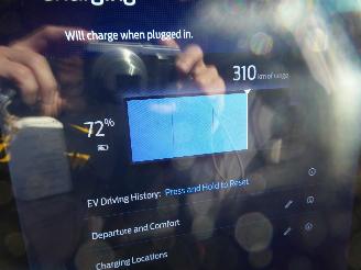 Ford Mustang Mach-e Mach-E Premium picture 31