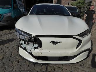 Ford Mustang Mach-e Mach-E Premium picture 4