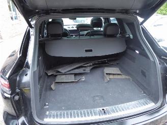 Porsche Cayenne E-Hybrid picture 10