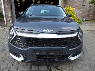 Kia Sportage Plug-in Hybrid 4WD picture 2