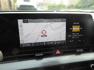 Kia Sportage Plug-in Hybrid 4WD picture 29