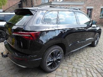 Skoda Karoq 2.0l TDI 85kW DSG SportLine picture 6