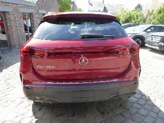 Mercedes EQA 250+ AMG Line picture 6