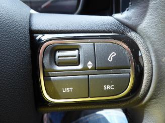 Citroën C3 Aircross Shine picture 15
