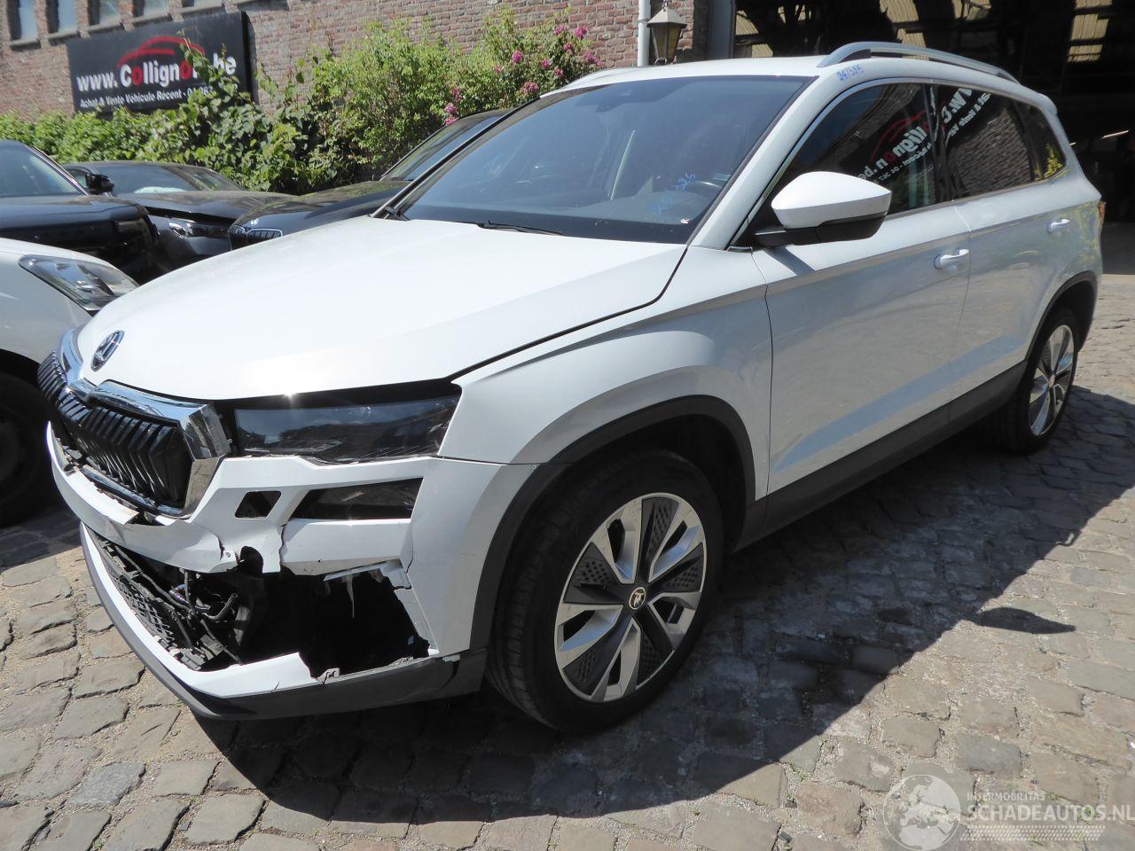 Skoda Karoq Style