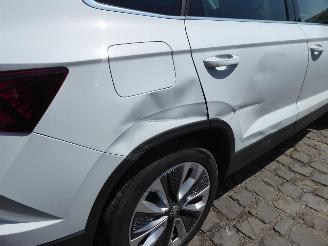 Skoda Karoq Style picture 7