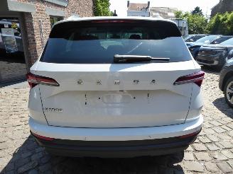 Skoda Karoq Style picture 9
