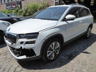 Auto incidentate Skoda Karoq Style 2024/1