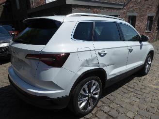 Skoda Karoq Style picture 6
