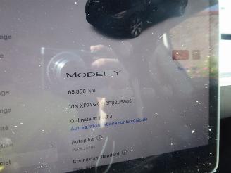 Tesla Model Y  picture 17