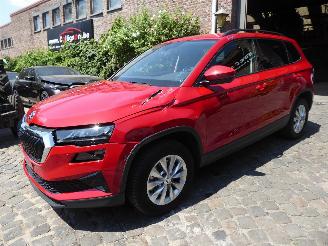 skadebil auto Skoda Karoq Selection 2024/9