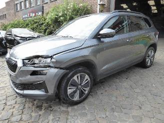 Avarii autoturisme Skoda Karoq Ambition 2024/1