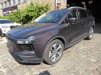 Voiture accidenté Aiways U5 Premium 2021/3