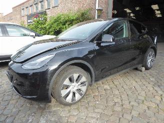 Tesla Model Y  picture 1