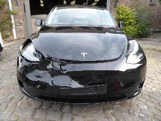 Tesla Model Y  picture 2
