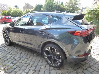 Cupra Formentor  picture 8