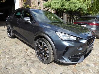 Cupra Formentor  picture 4