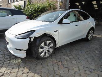 škoda osobní automobily Tesla Model Y Long Range Dual AWD 2024/6