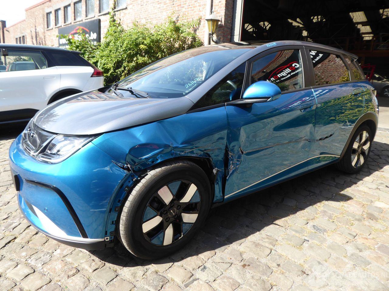 BYD Dolphin 