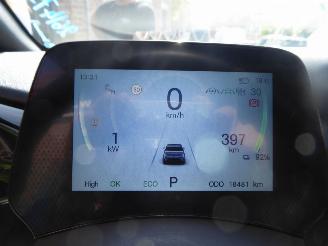 BYD Dolphin  picture 18