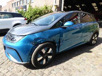 Auto incidentate BYD Dolphin  2024/9
