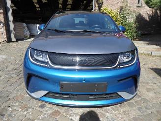 BYD Dolphin  picture 5