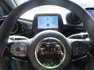 BYD Dolphin  picture 19