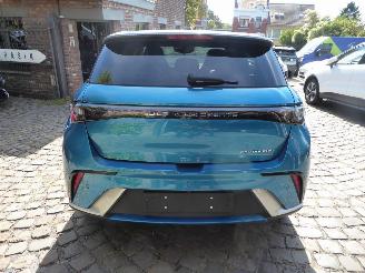 BYD Dolphin  picture 8