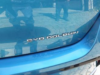 BYD Dolphin  picture 9