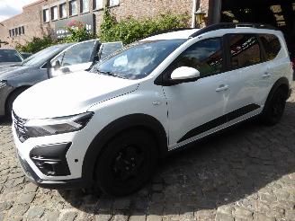 krockskadad bil auto Dacia Jogger Expression 2025/9