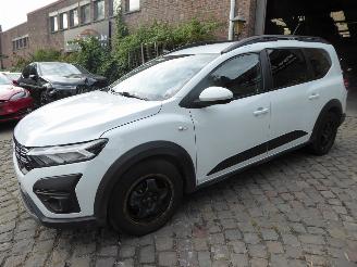 Voiture accidenté Dacia Jogger Expression 2024/10