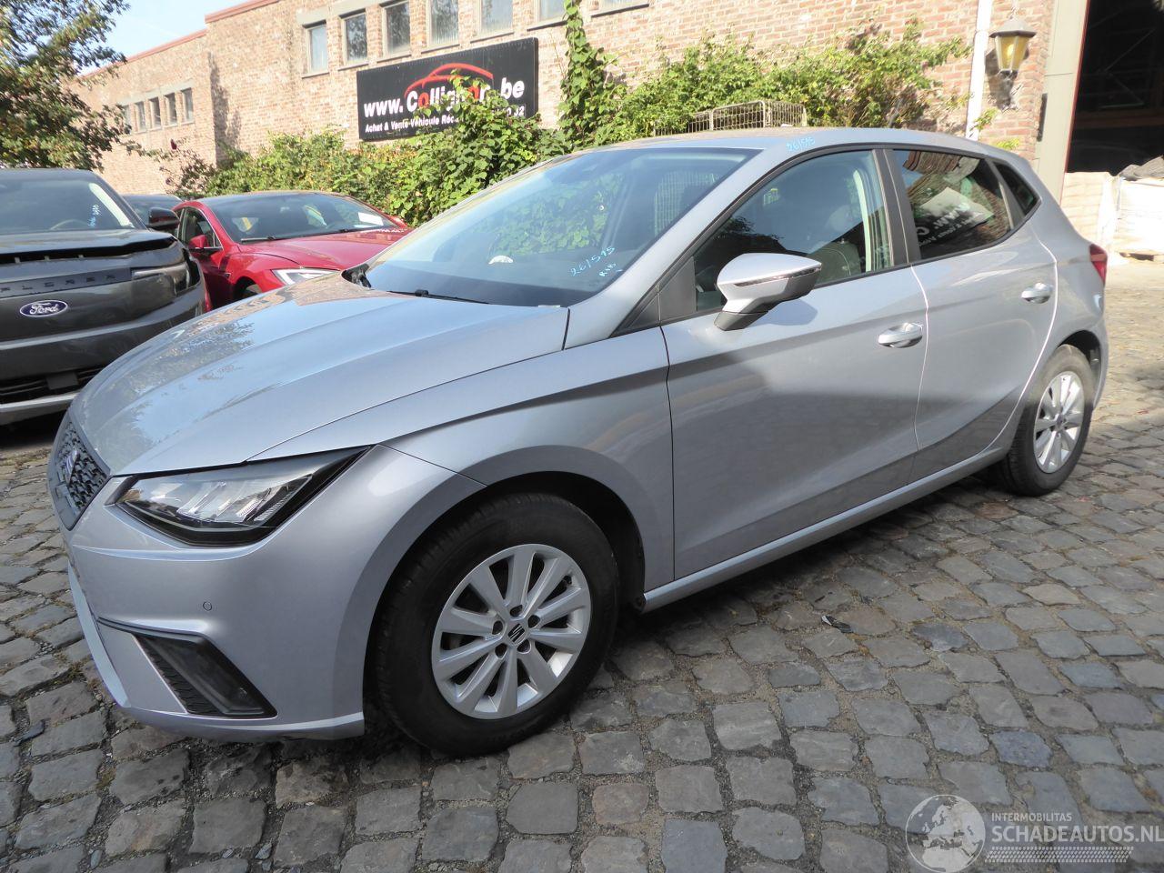Seat Ibiza Style