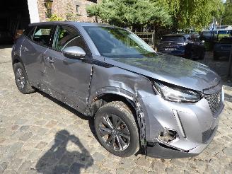 Peugeot 2008 e- Active picture 3
