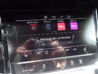Audi Q8 e-tron 50 quattro advanced picture 23