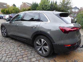 Audi Q8 e-tron 50 quattro advanced picture 9