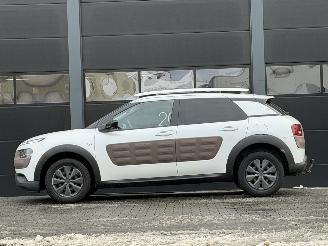 Citroën C4 cactus 1.6 BlueHDi Panorama Camera picture 6