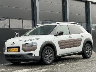 Citroën C4 cactus 1.6 BlueHDi Panorama Camera picture 1