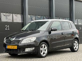 Skoda Fabia 1.2 TDI Greenline picture 1