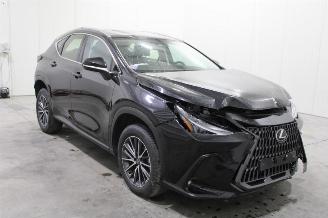 Lexus NX 350 picture 2