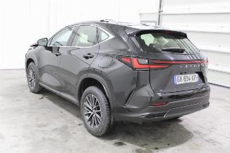 Lexus NX 350 picture 4