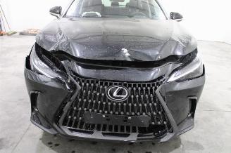 Lexus NX 350 picture 6
