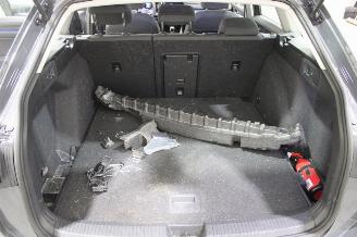 Volkswagen Golf  picture 15