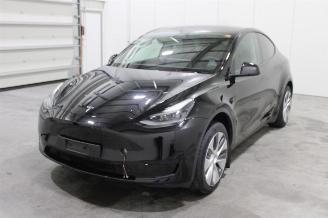 uszkodzony samochody osobowe Tesla Model Y  2024/8
