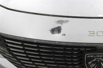 Peugeot 308  picture 6