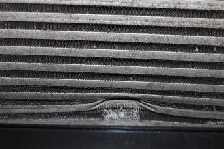 Ford Ranger  picture 16