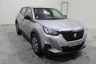 Peugeot 2008  picture 2