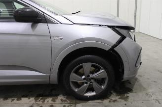 Opel Grandland X picture 7